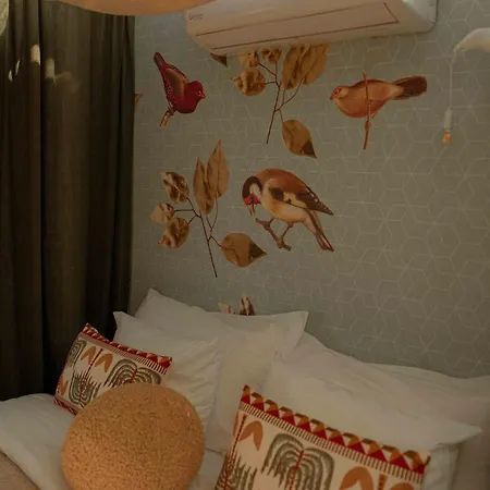 Reves Etoiles Setúbal