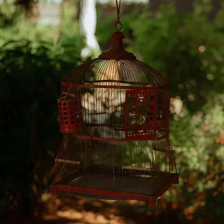 Reves Etoiles Luksusowy namiot *