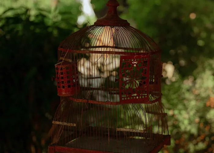 Rêves étoilés Campo de lujo *